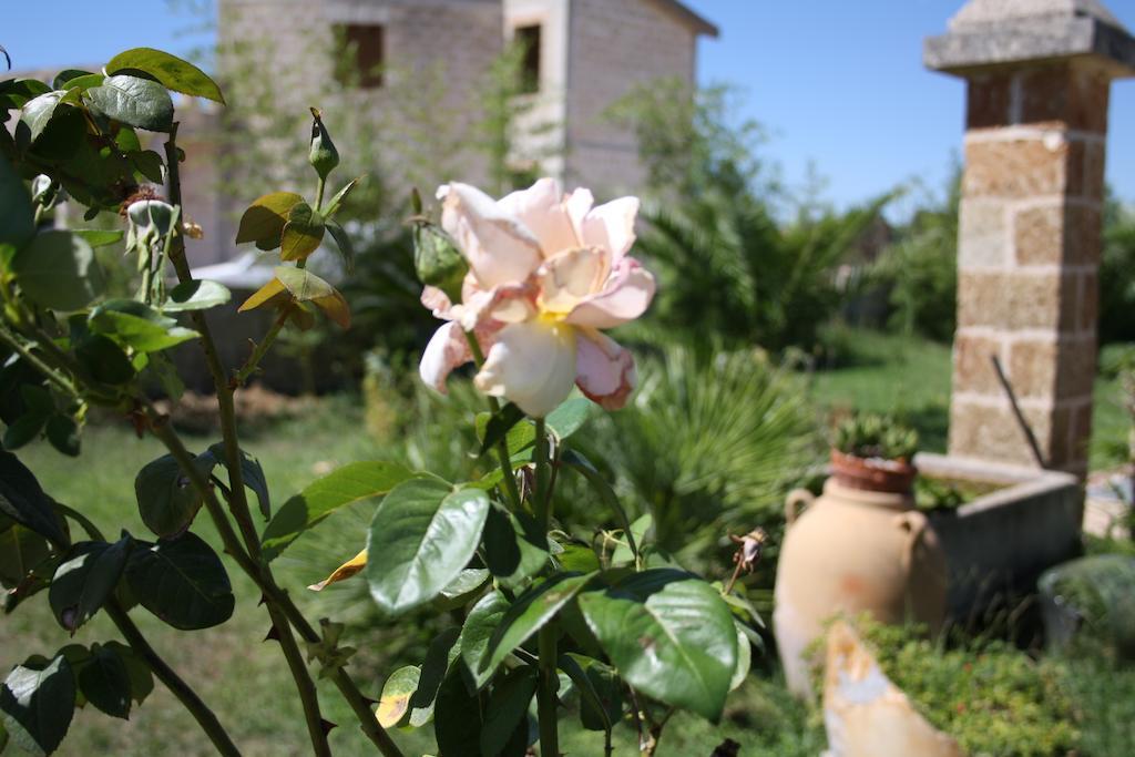 Sogliano Cavour Villa Padula מראה חיצוני תמונה